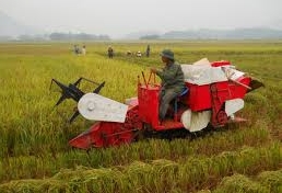 国家目標プログラムの実施